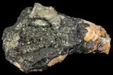 Cerussite Crystals On Galena - Morocco #82358-1